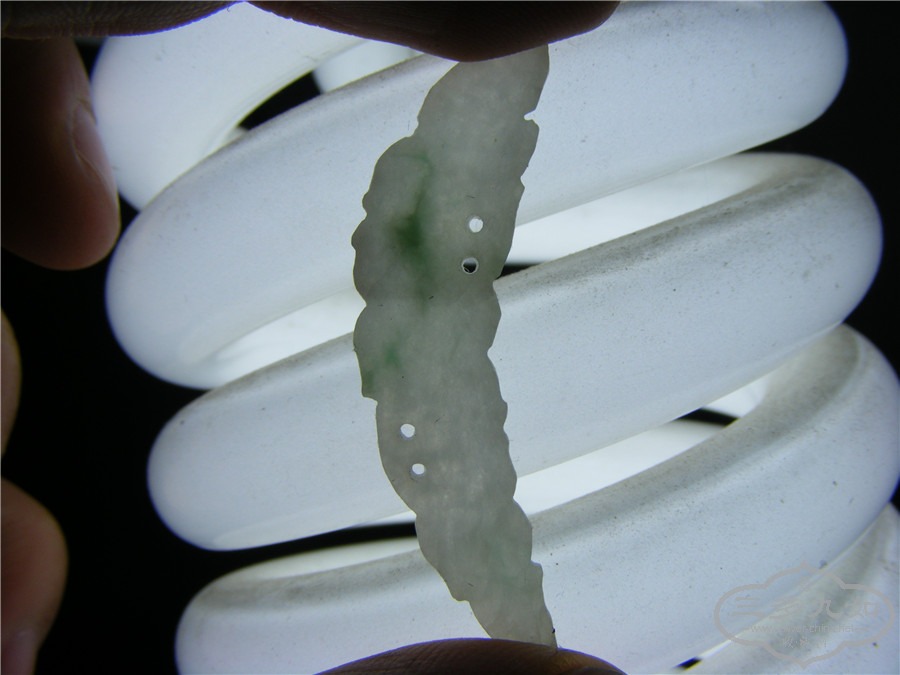 DSCF5478.jpg