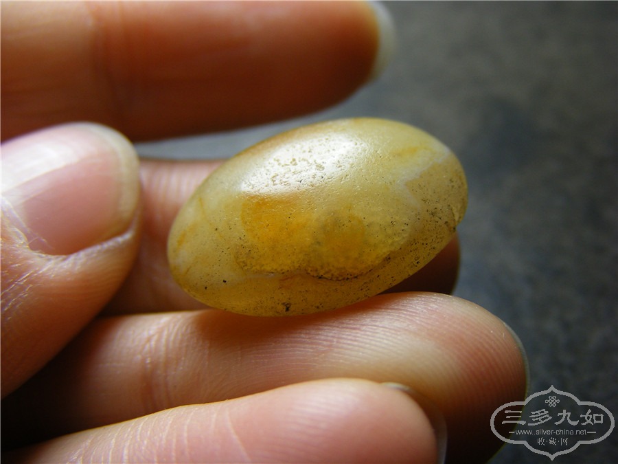 DSCF5815.jpg