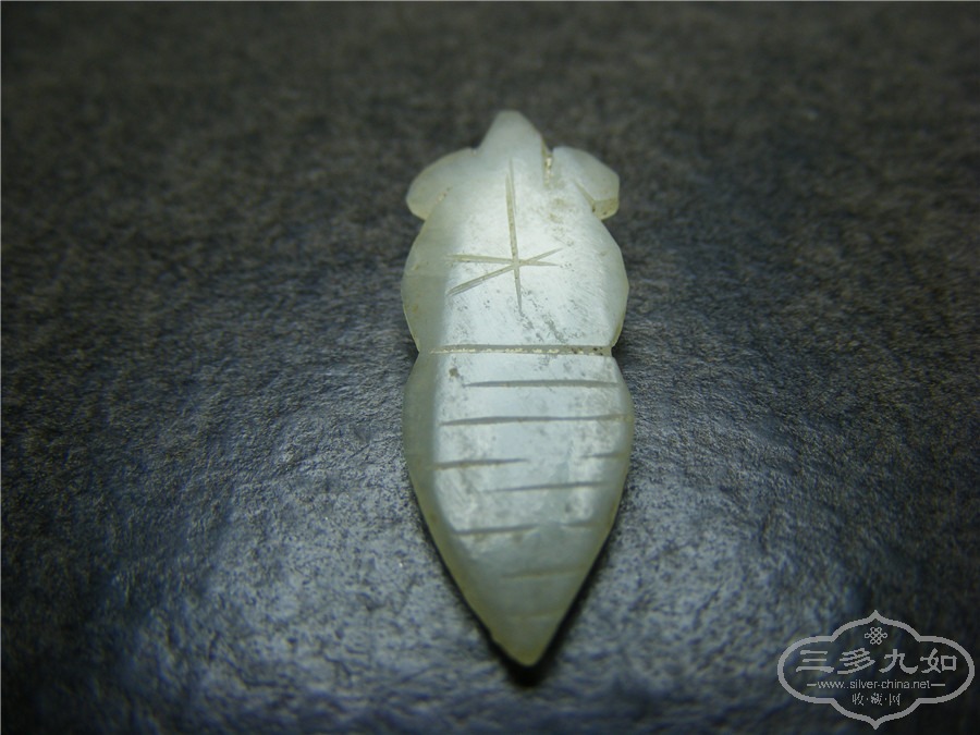DSCF8485.jpg