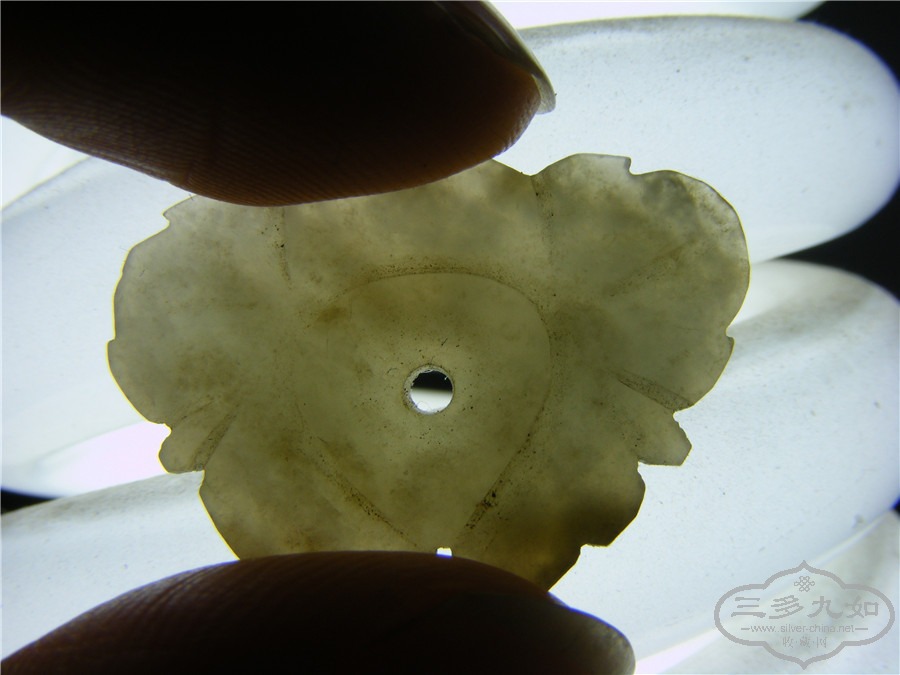 DSCF9464.jpg