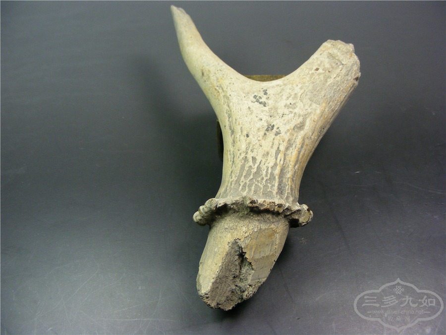 DSCF1437.jpg