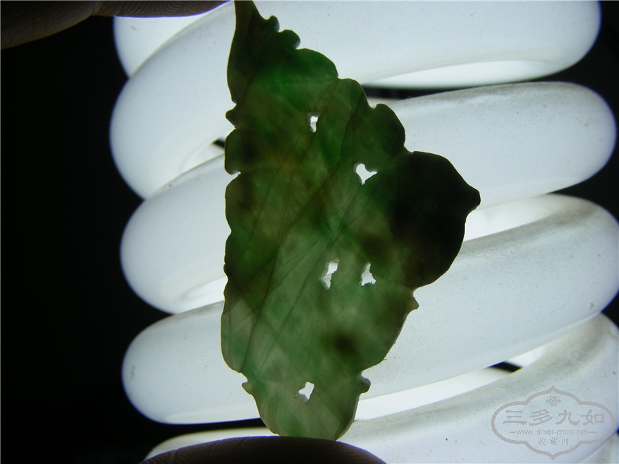 DSCF1568.jpg