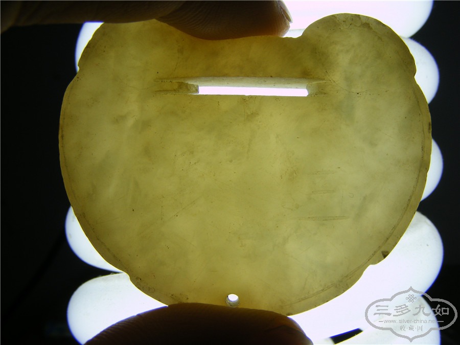 DSCF8529.jpg