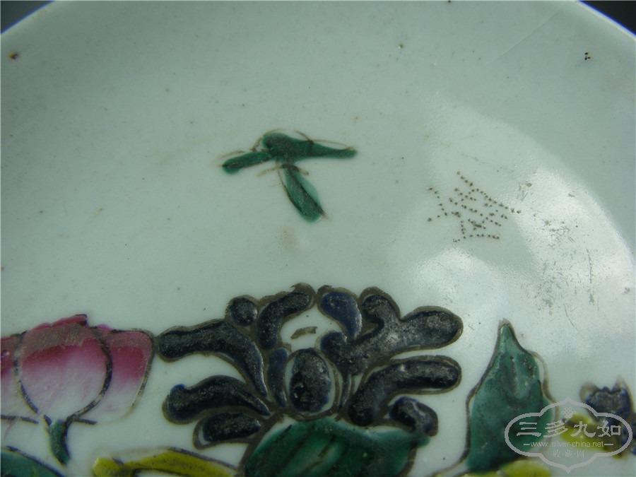 DSCF5798.jpg