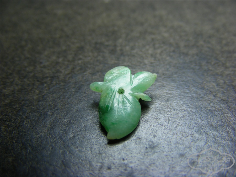 DSCF5563.jpg