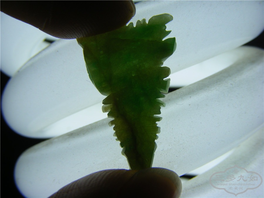 DSCF5594.jpg