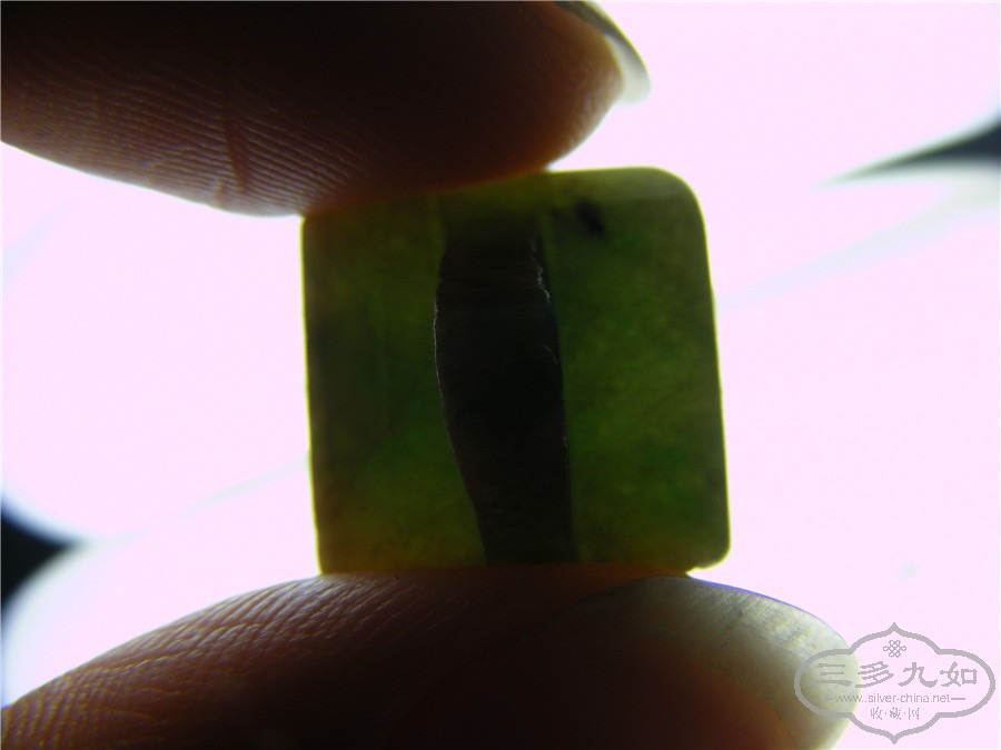 DSCF8338.jpg