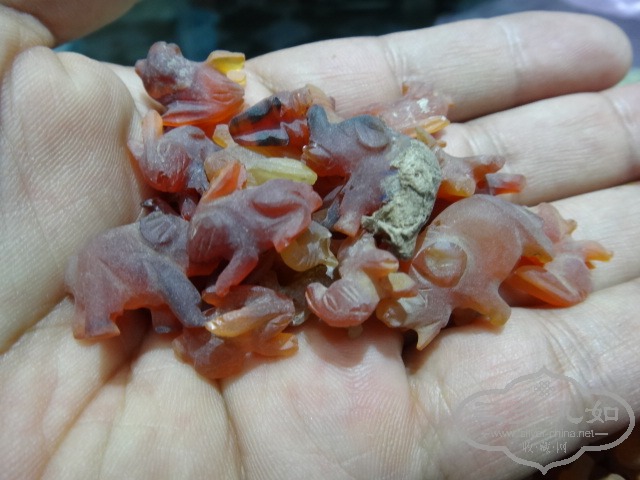 DSC00084.JPG