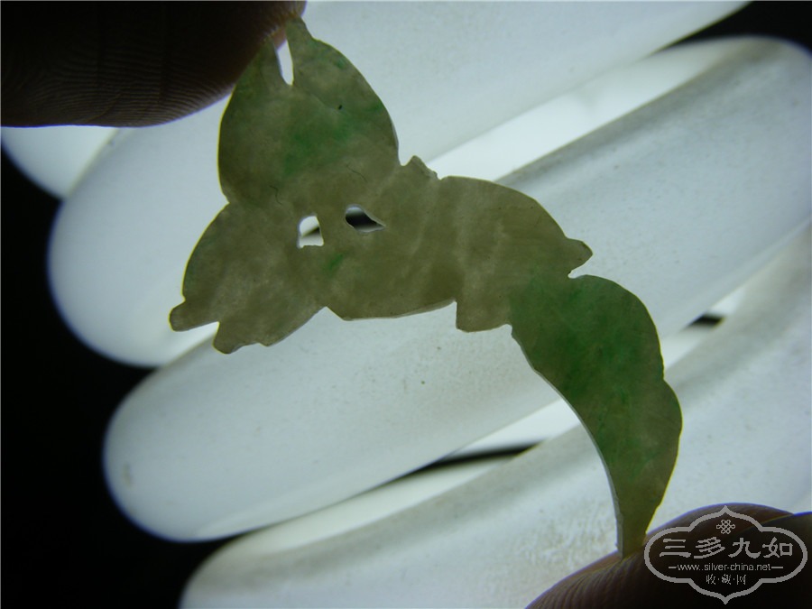 DSCF1291.jpg
