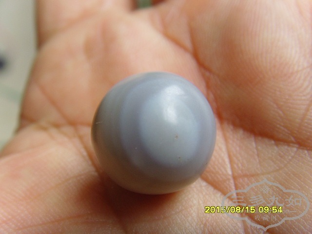SNV33422.JPG