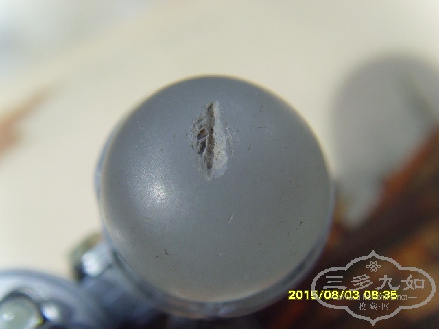 SNV33020.JPG