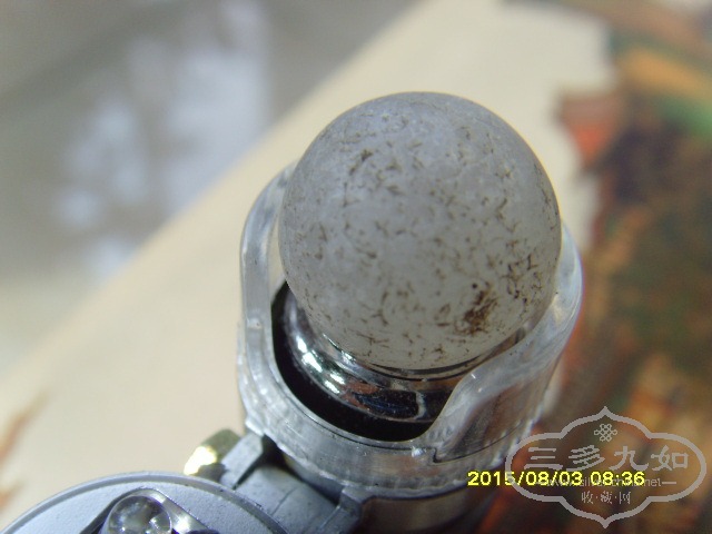 SNV33024.JPG