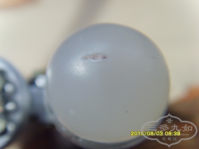 SNV33034.JPG