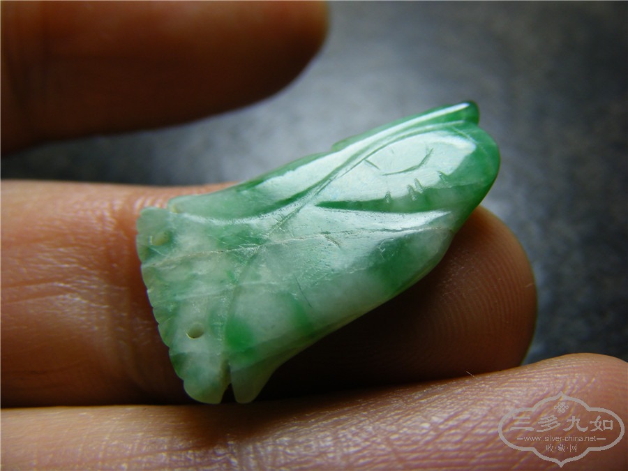 DSCF2890.jpg