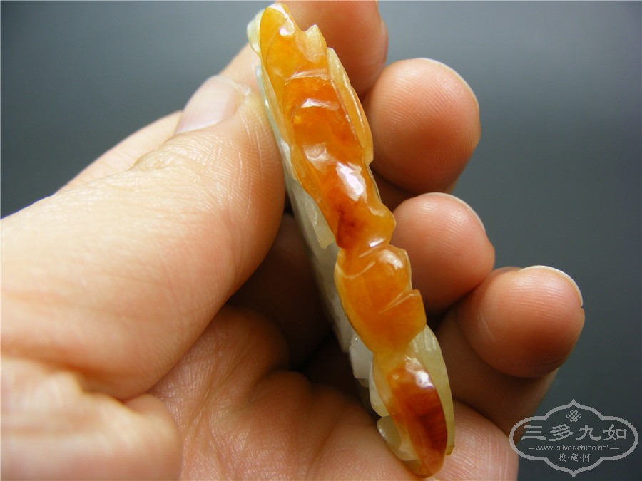 DSCF2576.jpg