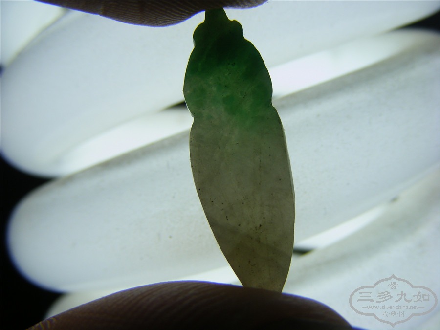 DSCF4053.jpg