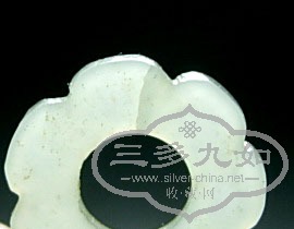 DSCN5897.jpg