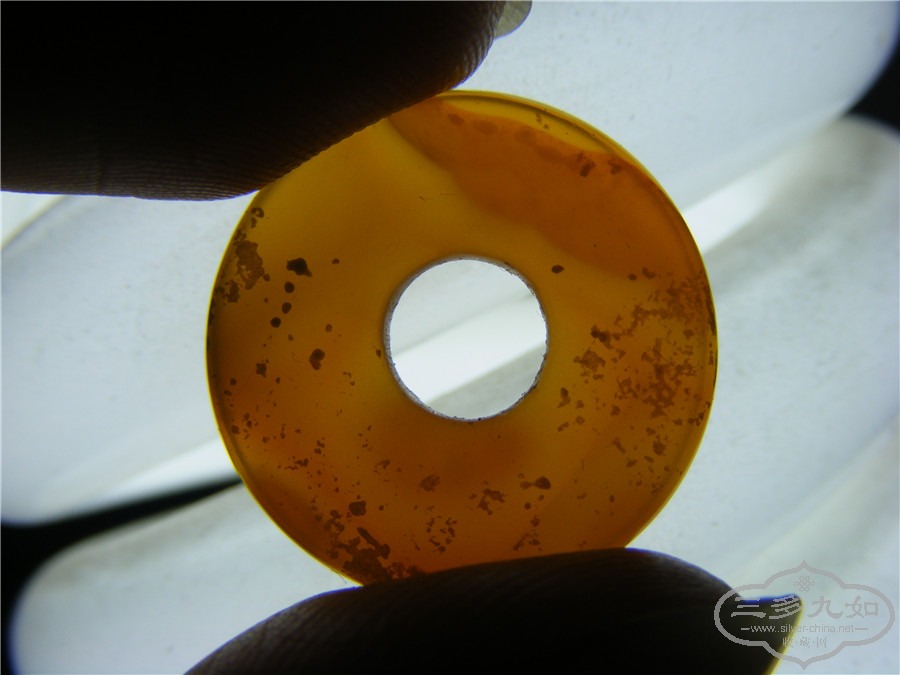 DSCF8230.jpg
