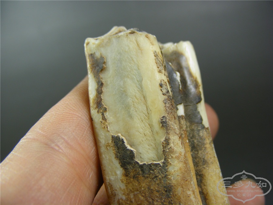 DSCF9187.jpg