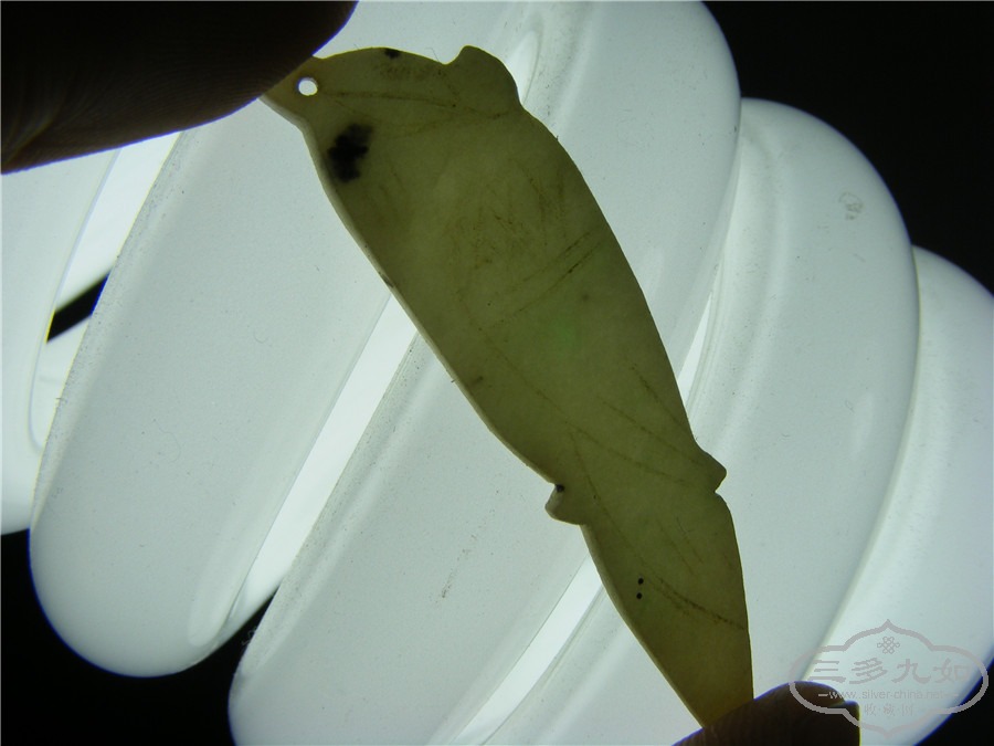 DSCF9470.jpg