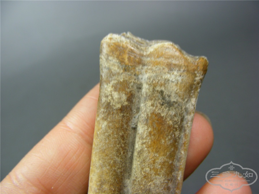 DSCF8893.jpg