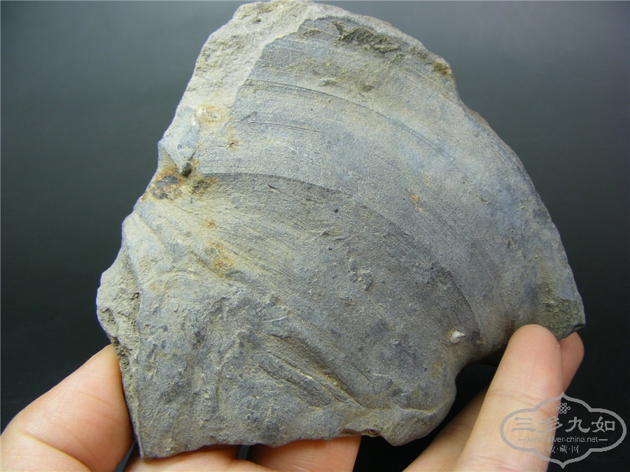 DSCF9885.jpg