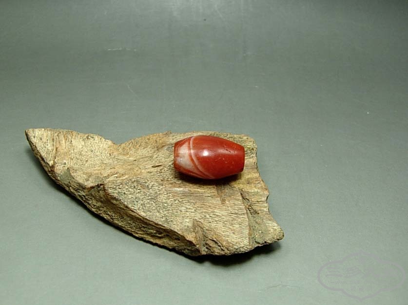 DSCN6159.jpg