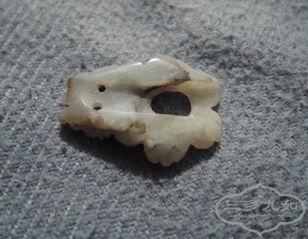 DSCN8541.jpg