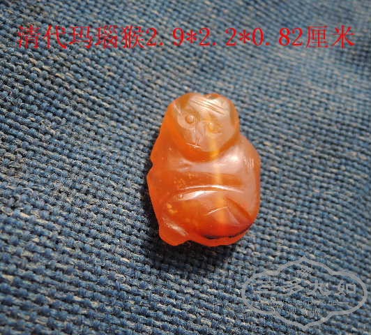 DSCN8556.jpg