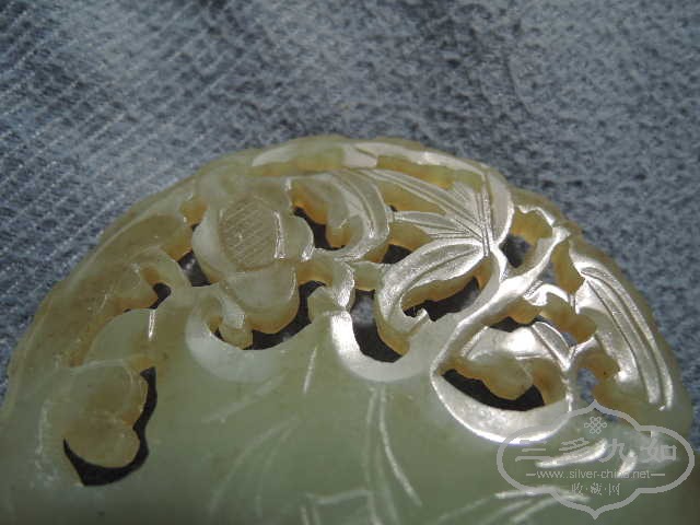 DSCN8661.jpg