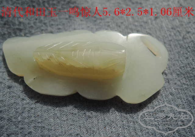 DSCN8871.jpg