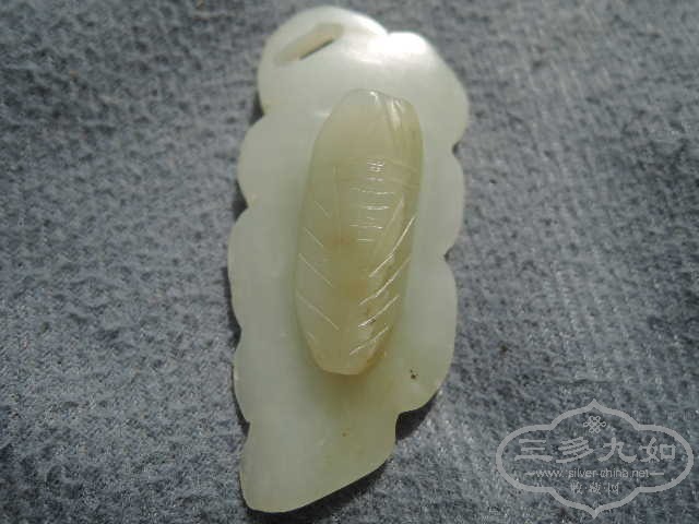 DSCN8870.jpg