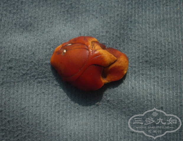 DSCN9051.JPG