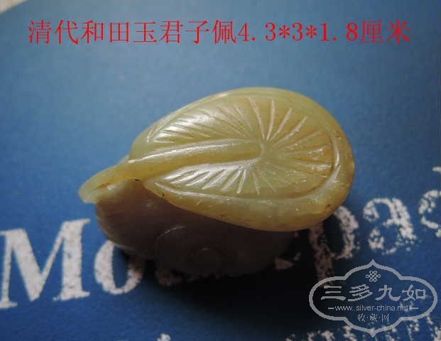 DSCN9064.jpg
