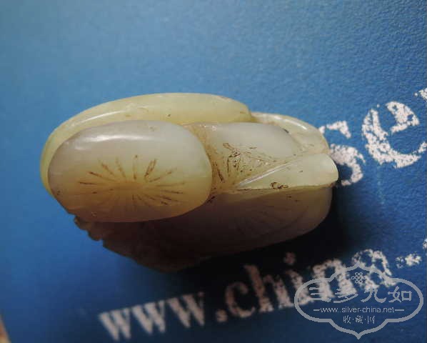 DSCN9070.jpg