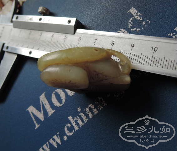 DSCN9078.jpg