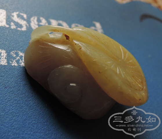 DSCN9087.jpg