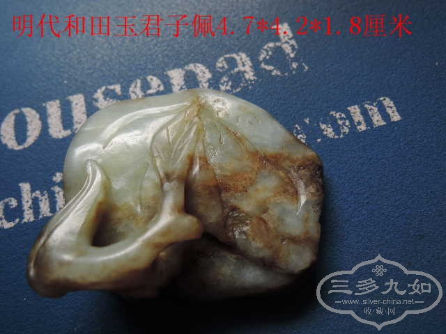 DSCN9096.jpg