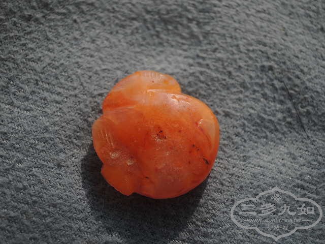 DSCN9207.jpg
