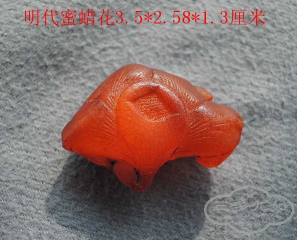 DSCN9261.jpg