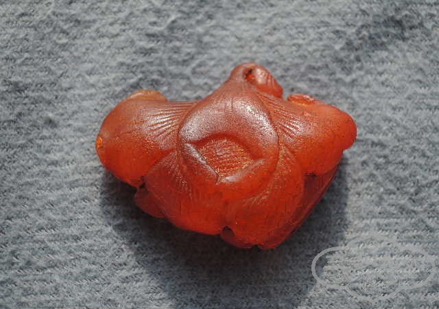 DSCN9258.jpg