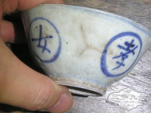 P1010039.jpg