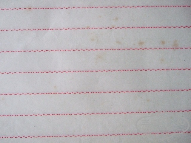 050.JPG