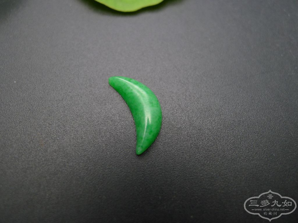 s1024_P1390195.JPG