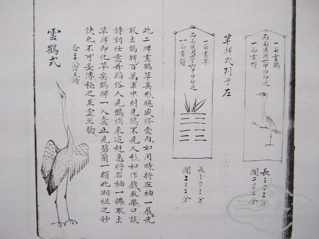 130.JPG