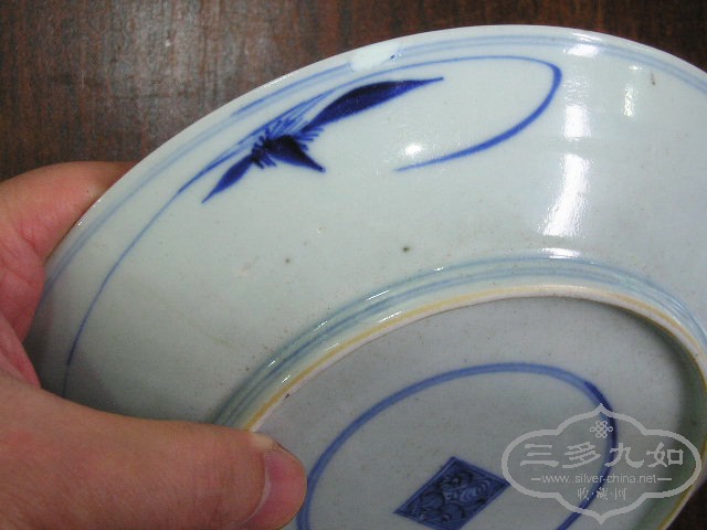 P1010103.jpg