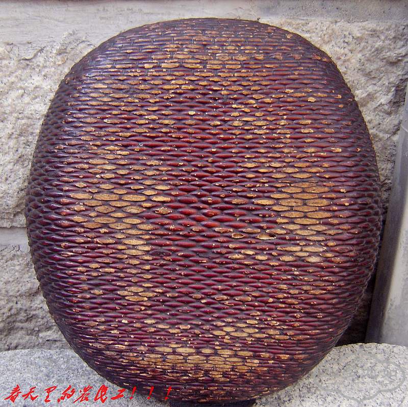 conew_dsc06280.jpg