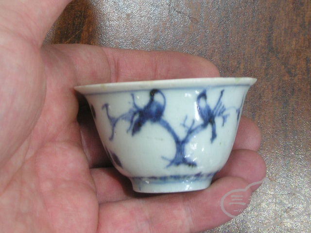 P1010130.JPG