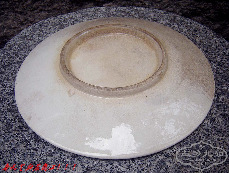 conew_dsc07118.jpg