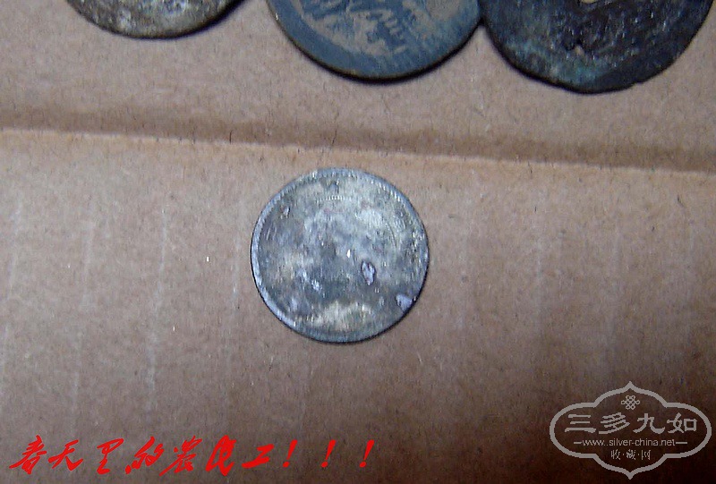 conew_dsc07886.jpg
